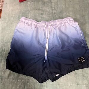 American Eagle Outfitters Men's Ombre Blue Swim Trunks